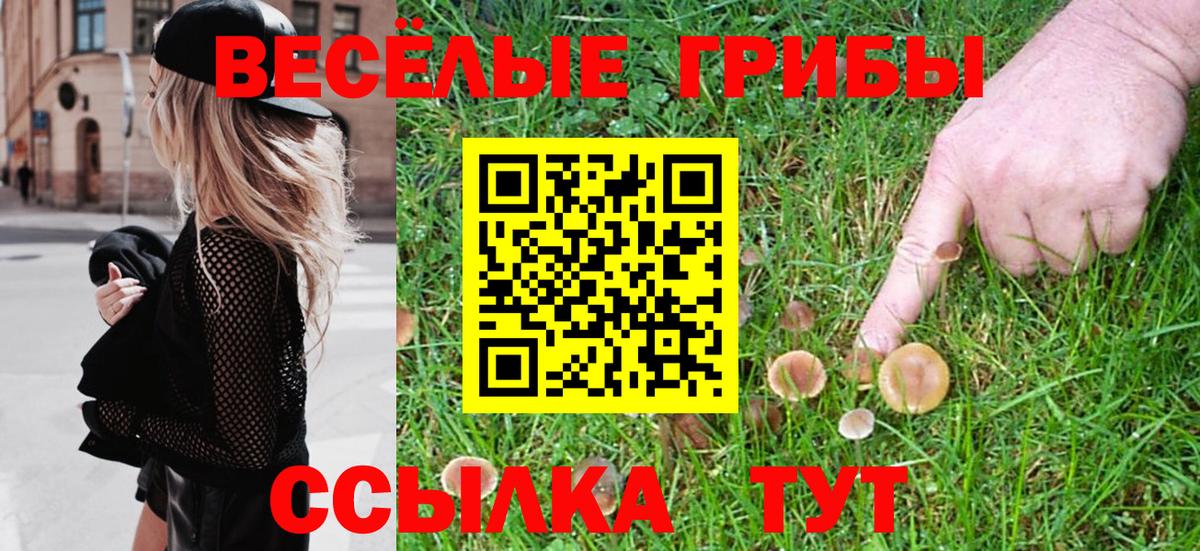 Псилоцибиновые грибы GOLDEN TEACHER  Вход с VPN  Тара 