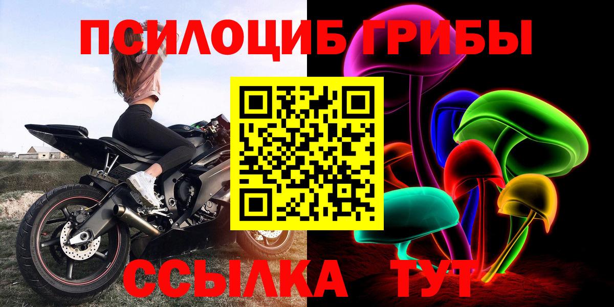 Псилоцибиновые грибы ЛСД Тара